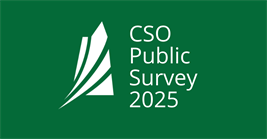 CSO Public Survey 2025